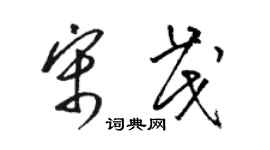 骆恒光宋茂草书个性签名怎么写