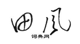 骆恒光田风草书个性签名怎么写