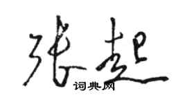 骆恒光张起草书个性签名怎么写