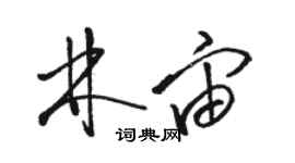 骆恒光林宙草书个性签名怎么写