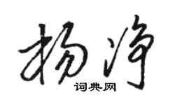 骆恒光杨净草书个性签名怎么写