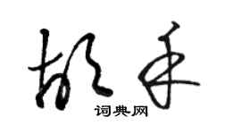 骆恒光胡禾草书个性签名怎么写