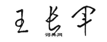 骆恒光王长军草书个性签名怎么写