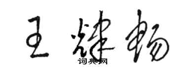 骆恒光王辉畅草书个性签名怎么写