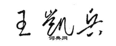 骆恒光王凯兵草书个性签名怎么写