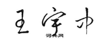 骆恒光王宇中草书个性签名怎么写