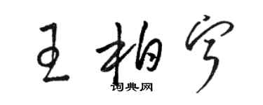 骆恒光王柏宁草书个性签名怎么写