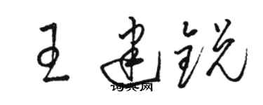 骆恒光王建锐草书个性签名怎么写