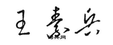 骆恒光王素兵草书个性签名怎么写