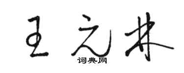 骆恒光王元林草书个性签名怎么写