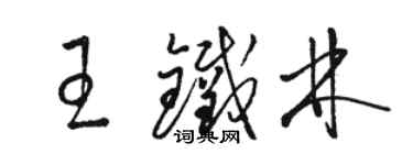 骆恒光王铁林草书个性签名怎么写