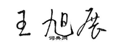 骆恒光王旭展草书个性签名怎么写