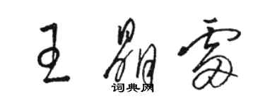 骆恒光王晶雷草书个性签名怎么写