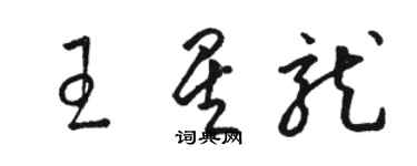 骆恒光王星龙草书个性签名怎么写