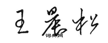 骆恒光王晨松草书个性签名怎么写