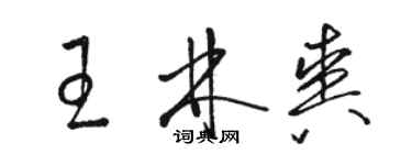 骆恒光王林爽草书个性签名怎么写