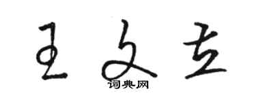 骆恒光王文立草书个性签名怎么写