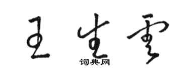 骆恒光王生云草书个性签名怎么写
