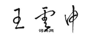 骆恒光王云申草书个性签名怎么写