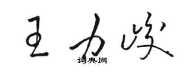 骆恒光王力峻草书个性签名怎么写
