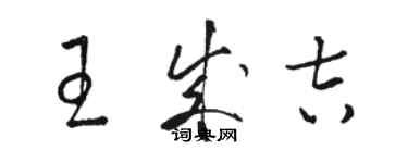 骆恒光王成吉草书个性签名怎么写