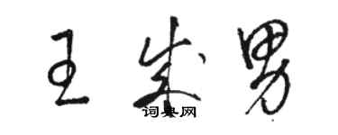 骆恒光王成男草书个性签名怎么写