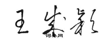 骆恒光王成颖草书个性签名怎么写