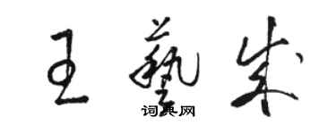 骆恒光王艺成草书个性签名怎么写