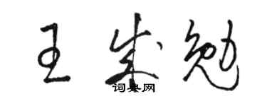 骆恒光王成勉草书个性签名怎么写