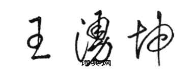 骆恒光王涌坤草书个性签名怎么写