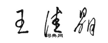 骆恒光王佳晶草书个性签名怎么写