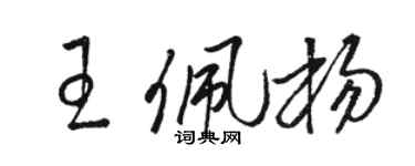 骆恒光王佩杨草书个性签名怎么写