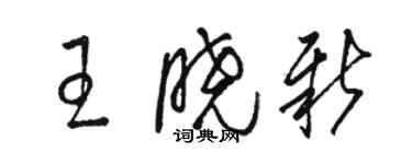 骆恒光王晓新草书个性签名怎么写