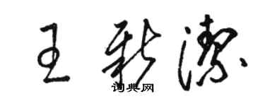 骆恒光王新洁草书个性签名怎么写