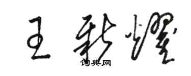 骆恒光王新耀草书个性签名怎么写