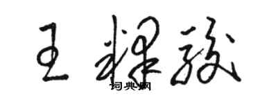 骆恒光王释骏草书个性签名怎么写