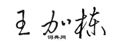 骆恒光王加栋草书个性签名怎么写