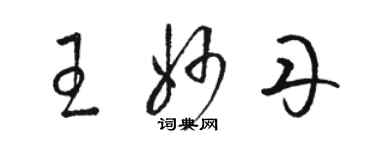 骆恒光王妙丹草书个性签名怎么写
