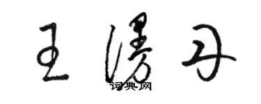 骆恒光王漫丹草书个性签名怎么写