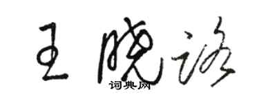 骆恒光王晓路草书个性签名怎么写