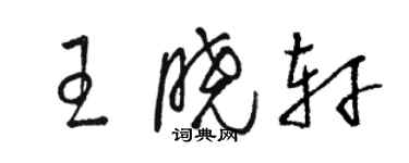 骆恒光王晓轩草书个性签名怎么写