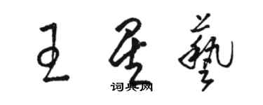 骆恒光王星艺草书个性签名怎么写