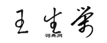 骆恒光王生荣草书个性签名怎么写