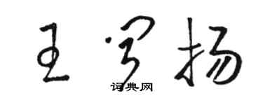 骆恒光王闻扬草书个性签名怎么写