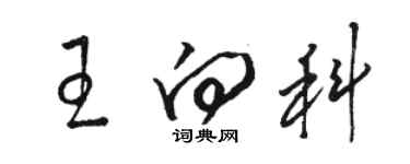 骆恒光王向科草书个性签名怎么写