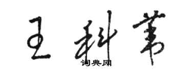 骆恒光王科苇草书个性签名怎么写