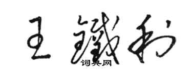 骆恒光王铁利草书个性签名怎么写