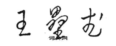 骆恒光王垒武草书个性签名怎么写