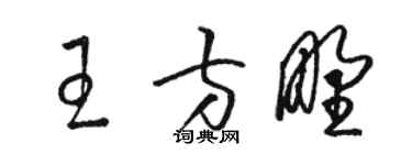 骆恒光王方野草书个性签名怎么写