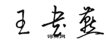 骆恒光王书燕草书个性签名怎么写